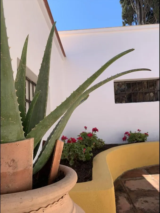 Novedad Suite Centrico Con Porche Y Jardin Torremolinos 0*,  Spain