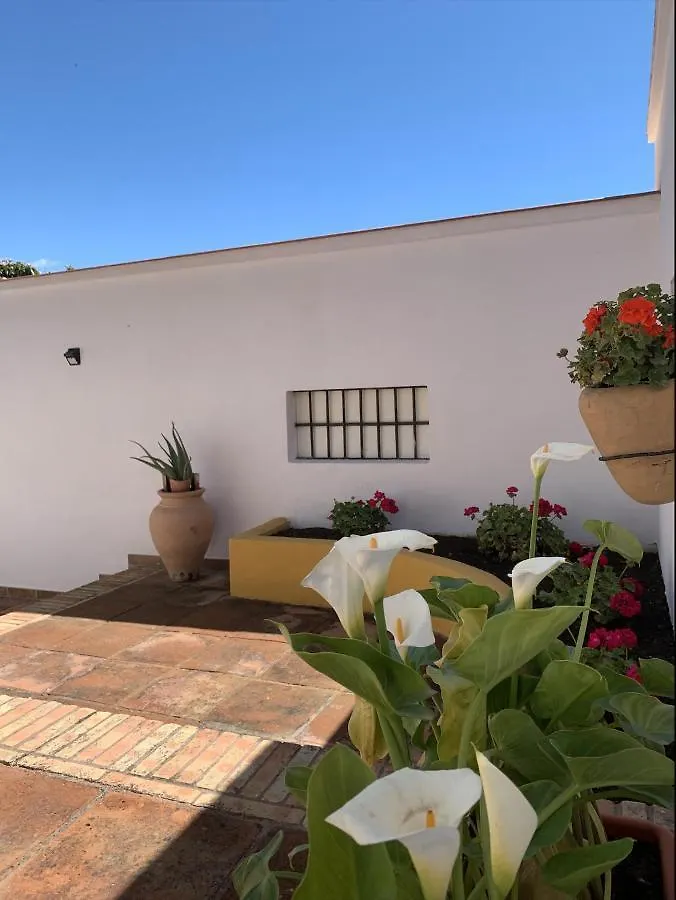 Novedad Suite Centrico Con Porche Y Jardin Torremolinos 0*,